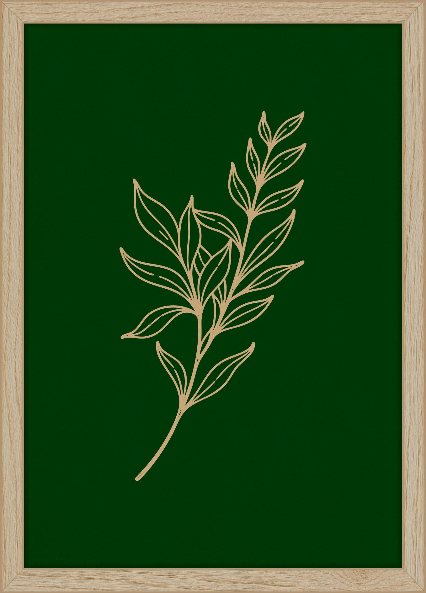 Woodand®| Ruscustak