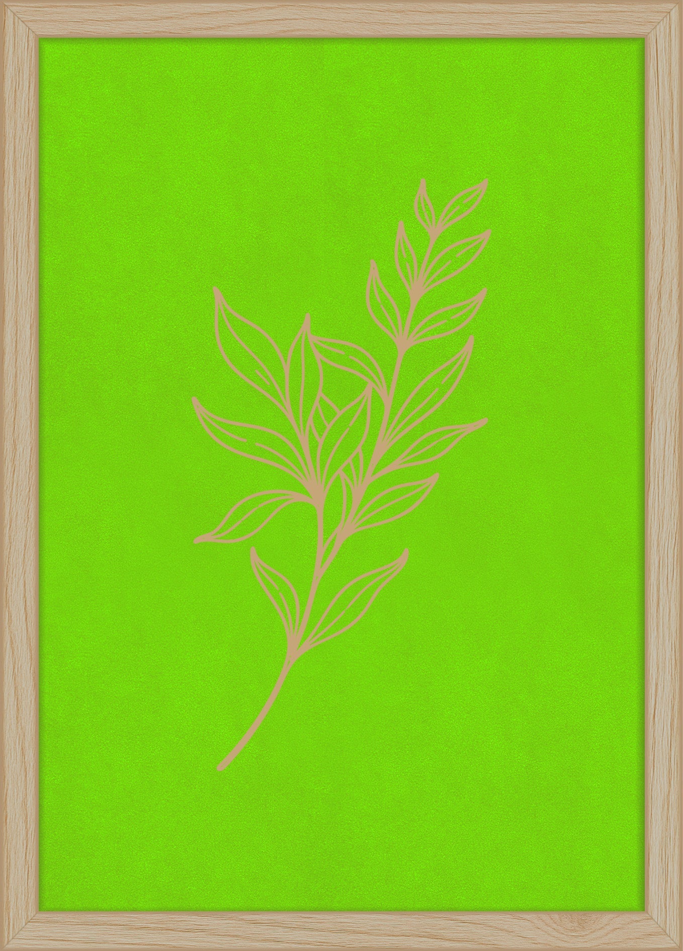 Woodand®| Ruscustak