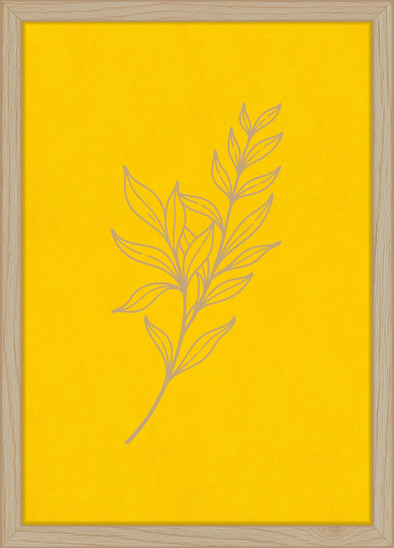 Woodand®| Ruscustak